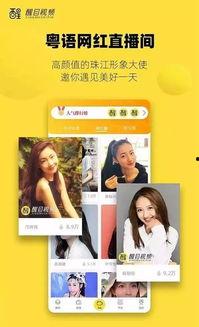 国产同性视频APP